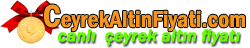 Canlı Gümüş Fiyatı